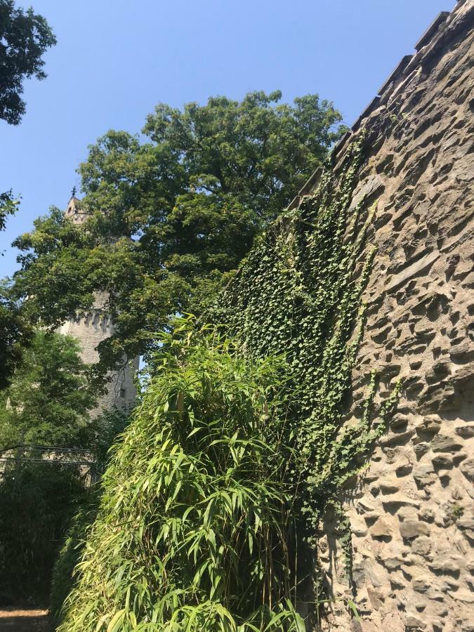 Appartamento Back To School Andernach Esterno foto